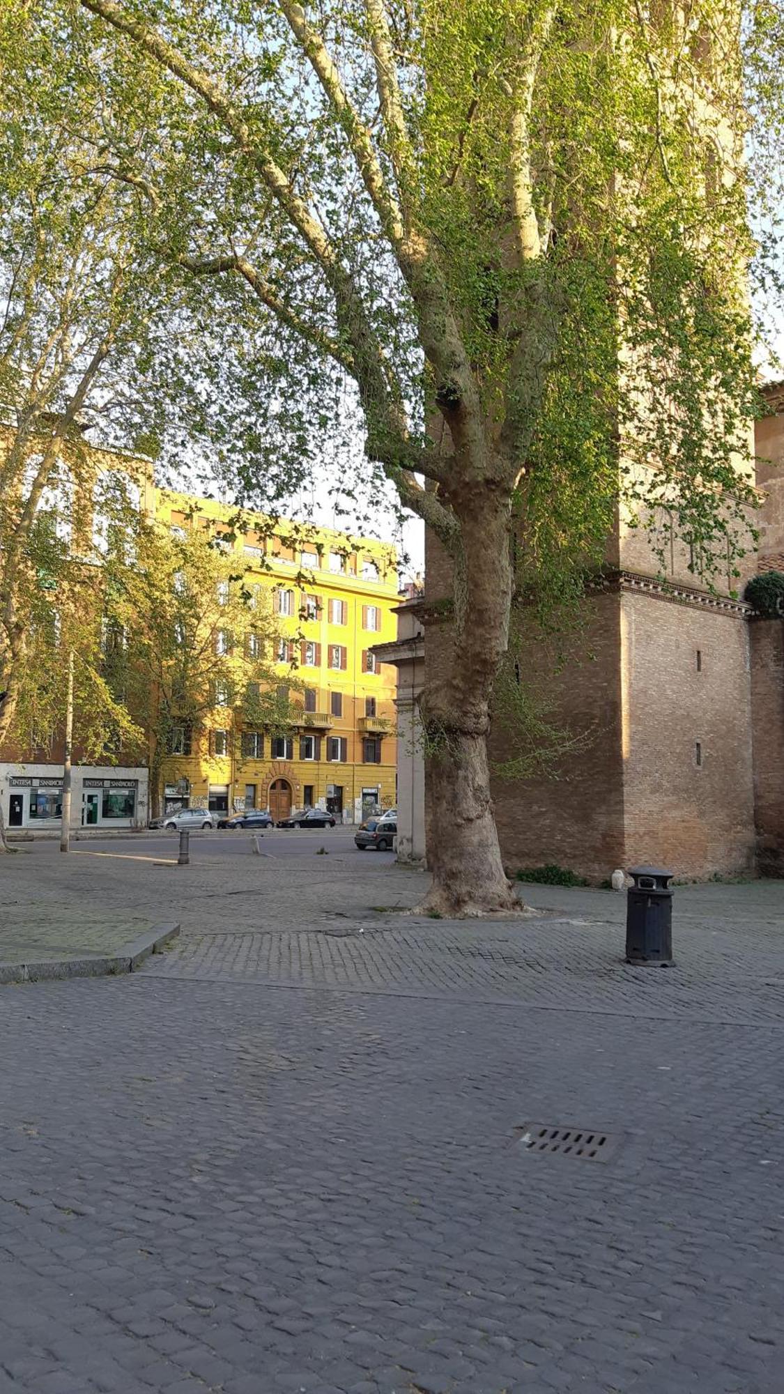 Bed & Breakfast Lungaretta Fly 55 Rome